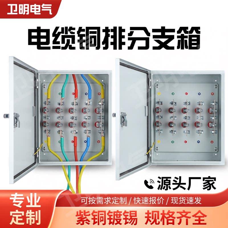 矿物电缆分支箱分接箱低压楼层转接箱BTTZ绝缘桥架接线端子T接箱