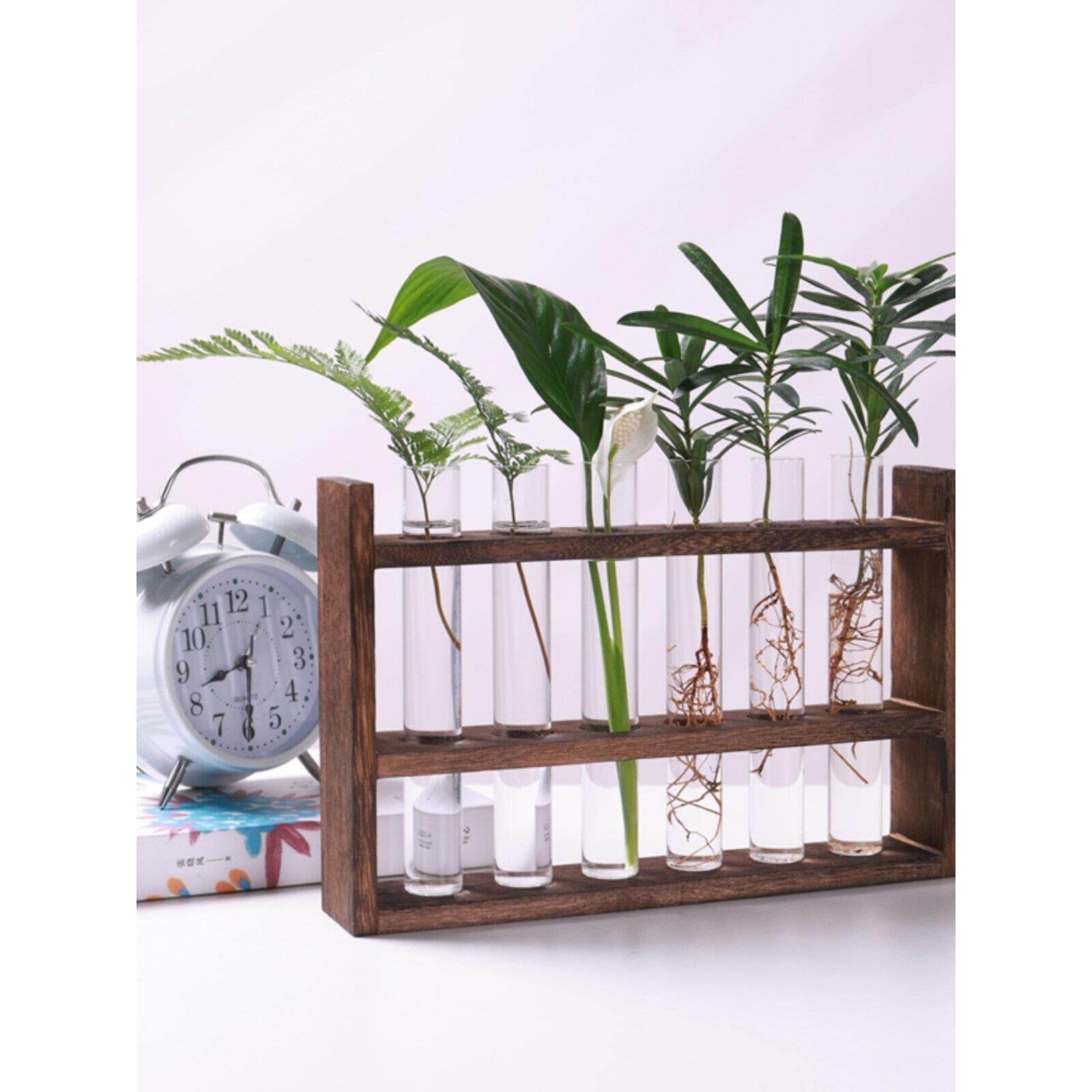 水培试管木制玻璃花瓶水培养绿色植物插花植物容器简单的木制框架