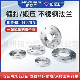 平焊 2205 带颈对焊 盲板 法兰 不锈钢304 活套 316L