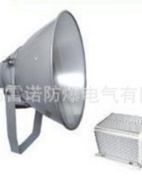 NTC9200防震型投光灯 泛光灯具防水射灯强光节能超亮高亮节能