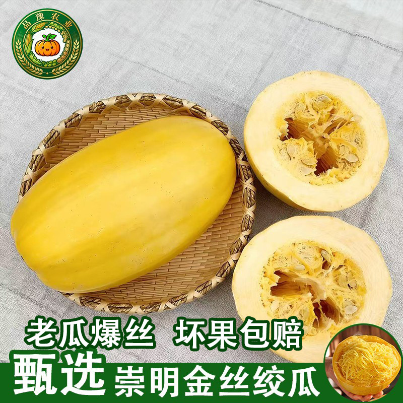 新鲜崇明金丝瓜绞瓜凉拌瓜角瓜黄金瓜面条瓜农家特产当季蔬菜9斤