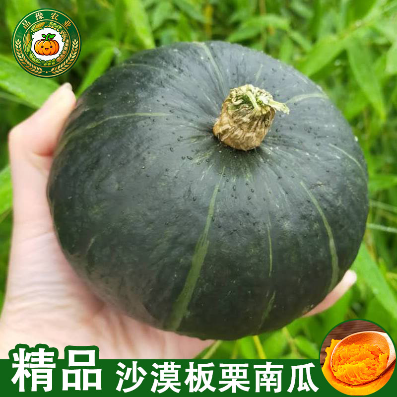 正宗板栗南瓜粉糯香甜绿皮