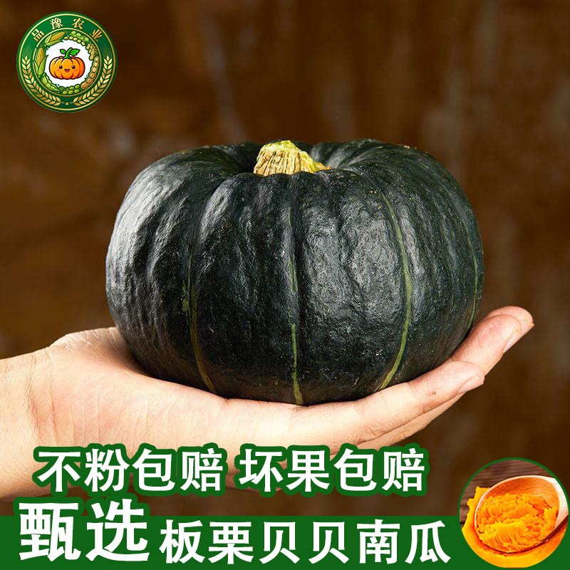 正宗贝贝南瓜【甄选品质】