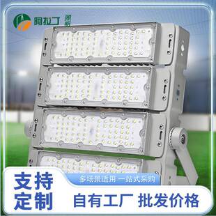 模组LED投光灯高杆灯300瓦超亮光源户外足球篮球广场照明IP66防水