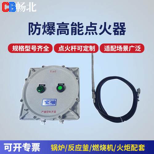 重型能点火器焦化厂荒煤气点火控制装置耐压防爆点火设备