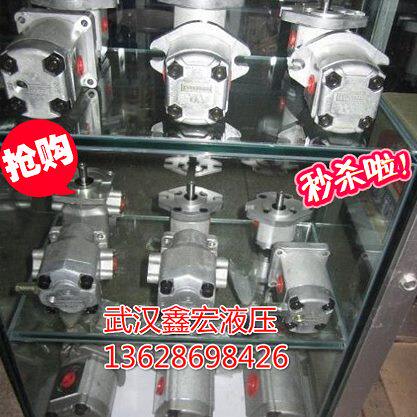 精品台湾P106RP01GT,P107RP01GT,P109RP01GT. 齿轮油泵P135RP01GT