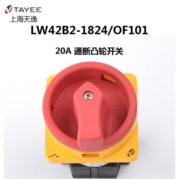 上海天逸LW42B2-1824/LF101 2825电源通断隔离凸轮开关 2P/20A
