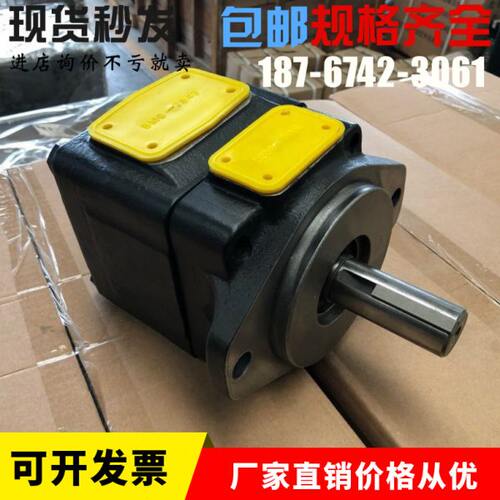 DENISON丹尼逊油泵T6C 005 1R02 B1行走机械油泵T6C 005 1R03 B1