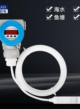 投入式四氟防腐液位变送器耐磨腐蚀高温水位计传感器rs4854-20mA