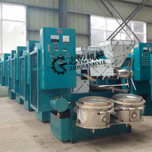 花生菜籽榨油机 全自动螺杆榨油机 100型榨油房炸油机 大豆炸油机