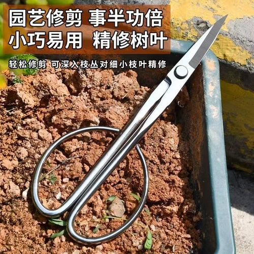 不锈钢叶芽剪盆景修剪花卉果树剪枝专用剪刀工具修枝枝叶剪园艺剪