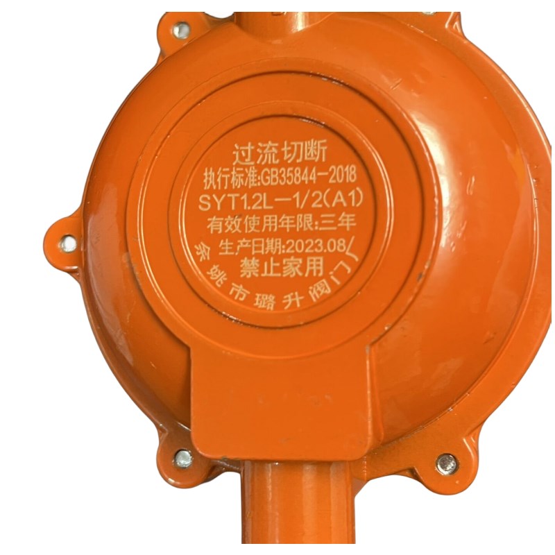 璐美牌不可调节减压阀0.6流量新国标煤气罐阀门家用液化气灶国家