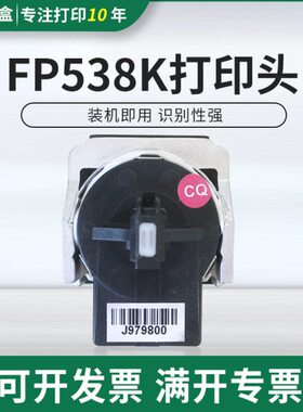 适用映美FP538K FP312 530KIII 530K3+ 560K 620K+ 630K+打印头