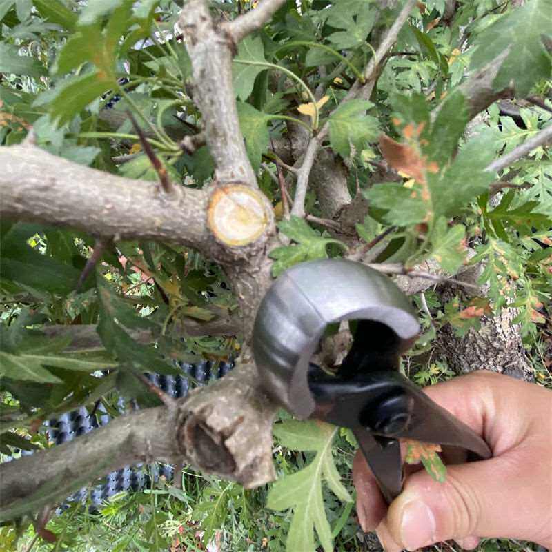 新品盆景工具大全青辰球节剪修枝剪斜口球形剪破杆钳园艺专用造型