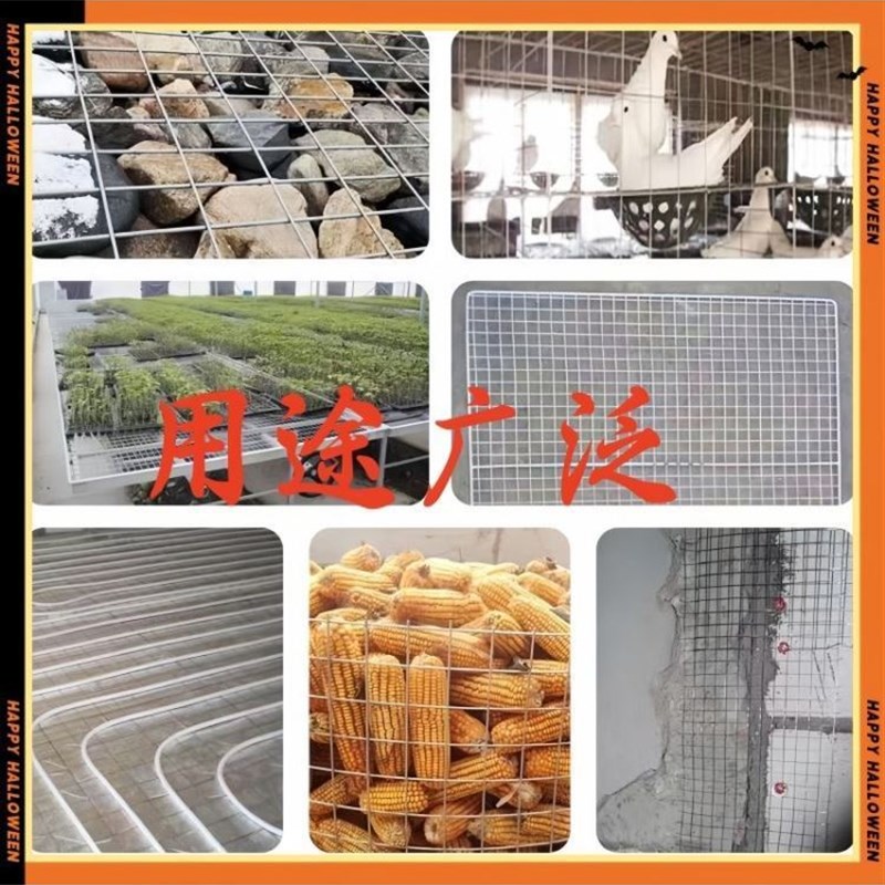 镀锌铁丝电焊网建筑网格养殖隔离网加粗加硬钢丝围栏养鸡鸭防护网