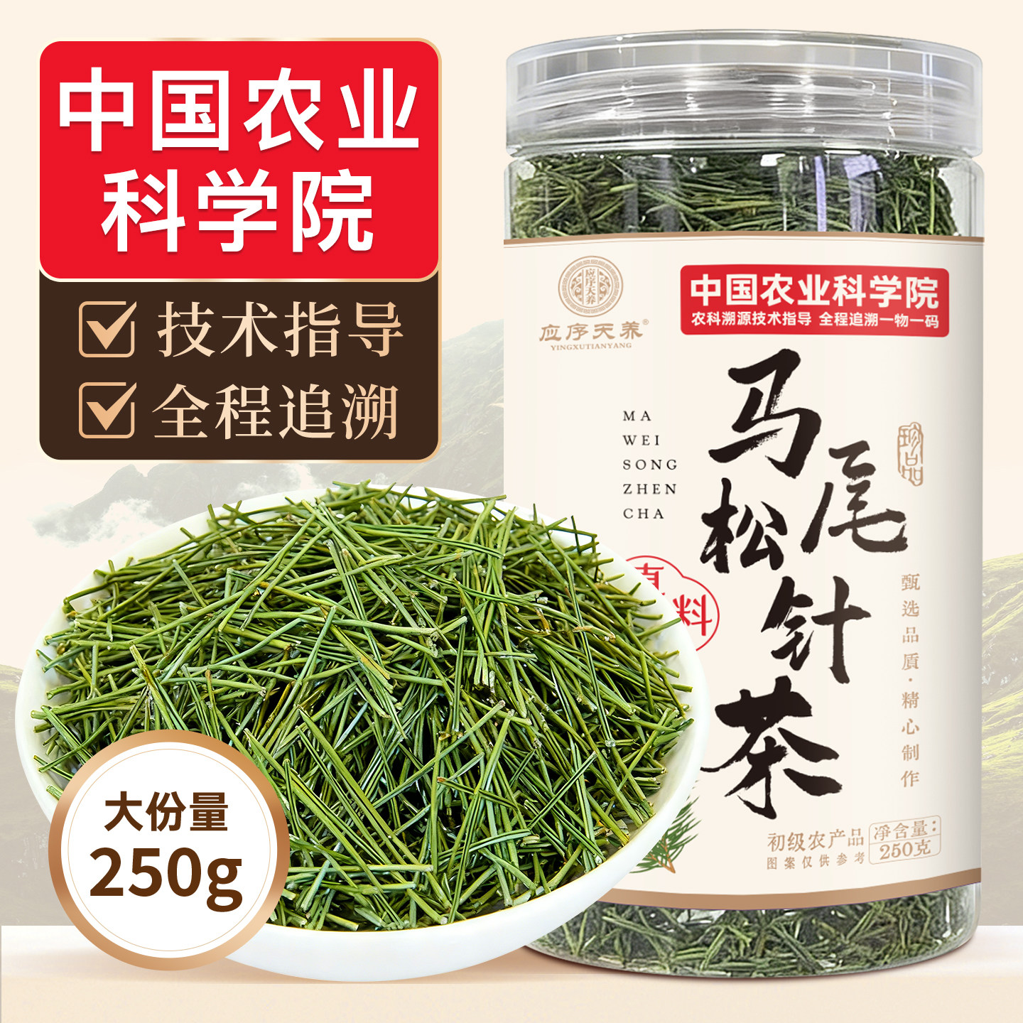 应序天养马尾松针茶农科院马尾松针特级中药材自然阴干可泡茶泡水
