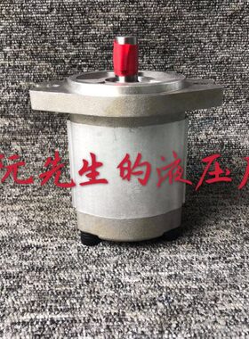 R73A1HG品OUI-19HG HG 齿轮泵P-FRSU质-台湾PP-R-F3A23R3A-F