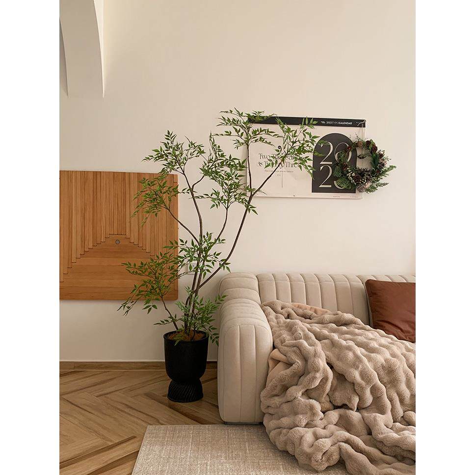 森空间模拟绿色植物装饰南迪纳竹子可达豪华高雅植物客厅落地式盆