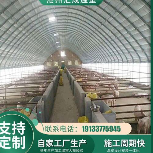 钢架大大薄膜棚日养殖栋室室单棚 光大蔬菜温温棚