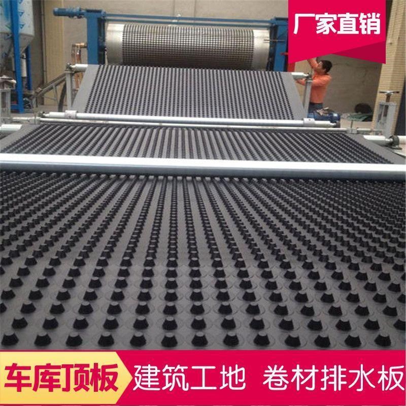 卷材排水板屋顶绿化花草种植y防阻根车库顶板工地排水板滤水板