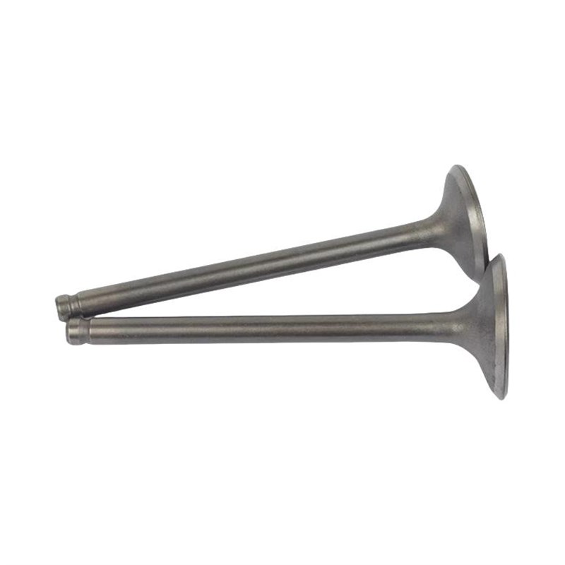 适用韵彩QS100T/-A/B 丽彩xQS125T-2/2A/2B气门 气阀杆 气门杆