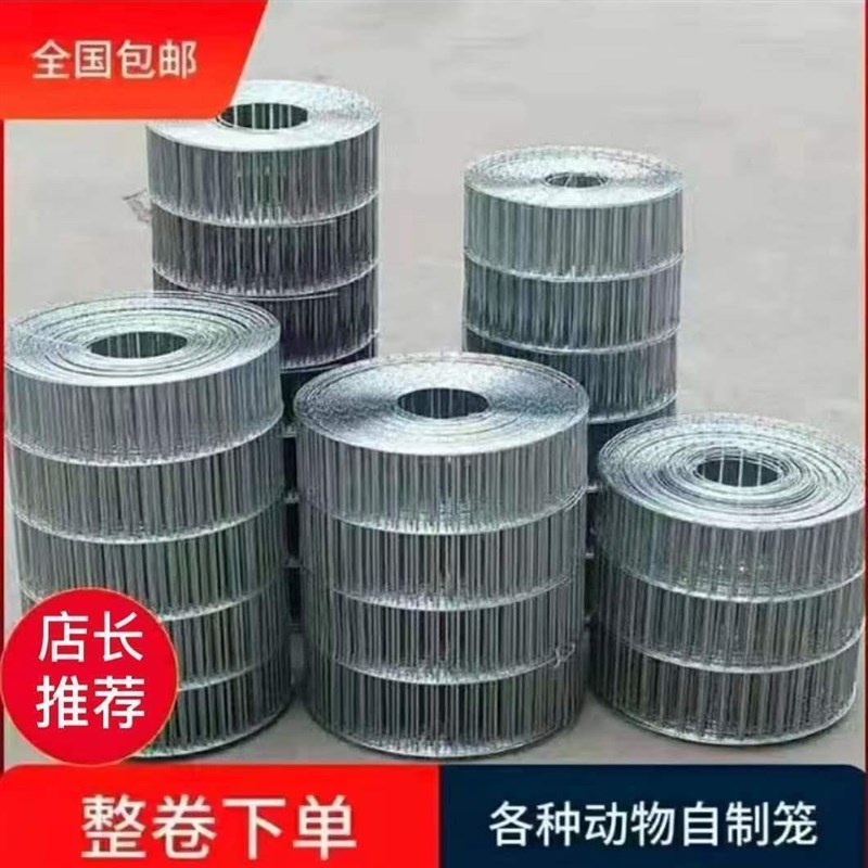 镀锌鸟笼网鹌鹑网铁丝网钢丝网养殖网养殖场养鸡铁丝钢丝养殖围网