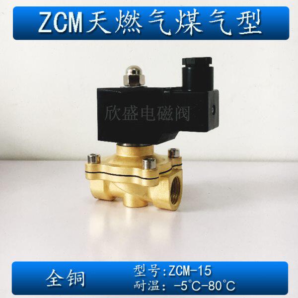 4分煤气电磁阀 天燃气瓦斯DN15 220V ZCM-160-15 全铜防潮电磁阀