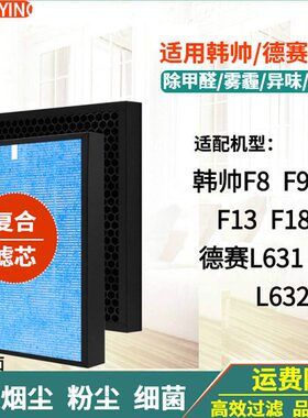 帅韩 FF F空气净化器过滤网3218SA1DE适配L6/9Y德赛/L过滤芯3136