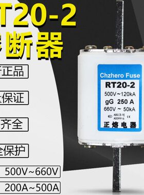 RT2A2VA2- 2A1258  NTA250A1熔断器20A2芯500V熔300060600A6008