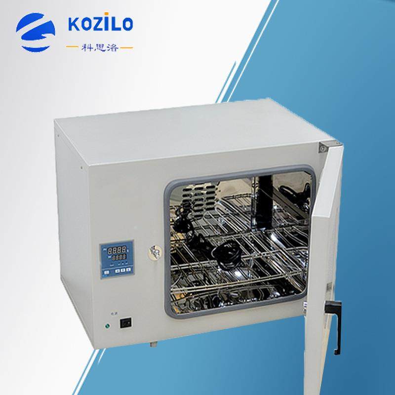 供应电热恒温鼓风干燥箱实验室烘箱D-9240A热风循环烤箱电加热