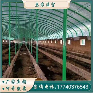 大大棚骨架大室蔬菜室温棚 养殖棚畜牧养殖温棚大棚
