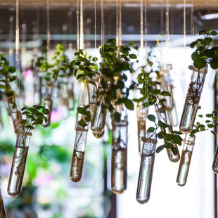 创意试管透明玻璃吊挂悬挂水培植物花瓶时尚 饰摆 M现代简约家居装