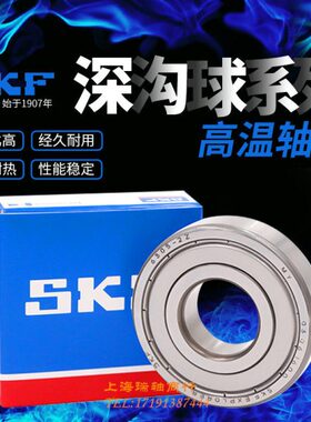 605Z2进口 / 4 RS  - 06060 H060W602  2 310 00 03C0轴承T60