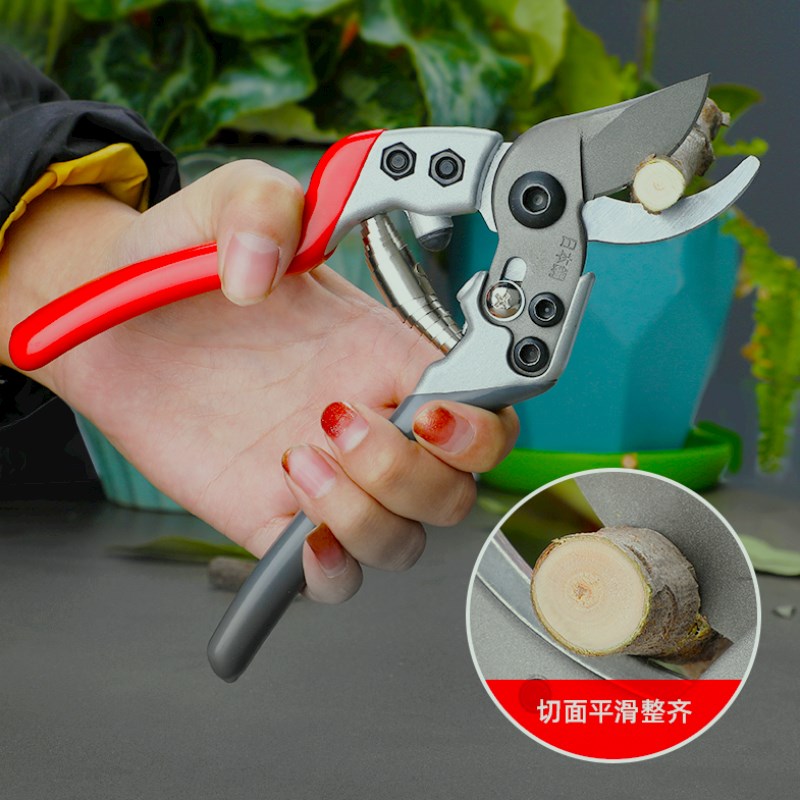 多功能修枝剪枝剪剪果枝树枝剪园艺省力修花剪剪树枝专用盆景剪刀