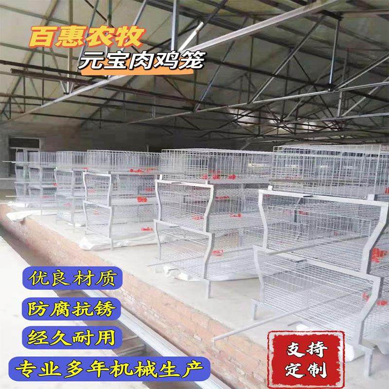 肉鸡笼自动化元宝型鸡笼框架式养鸡设备鸡舍改建肉鸡笼蛋鸡笼,畜牧/养殖物资,畜牧/养殖器械,淘宝优惠券,粉丝福利购,淘宝优惠卷