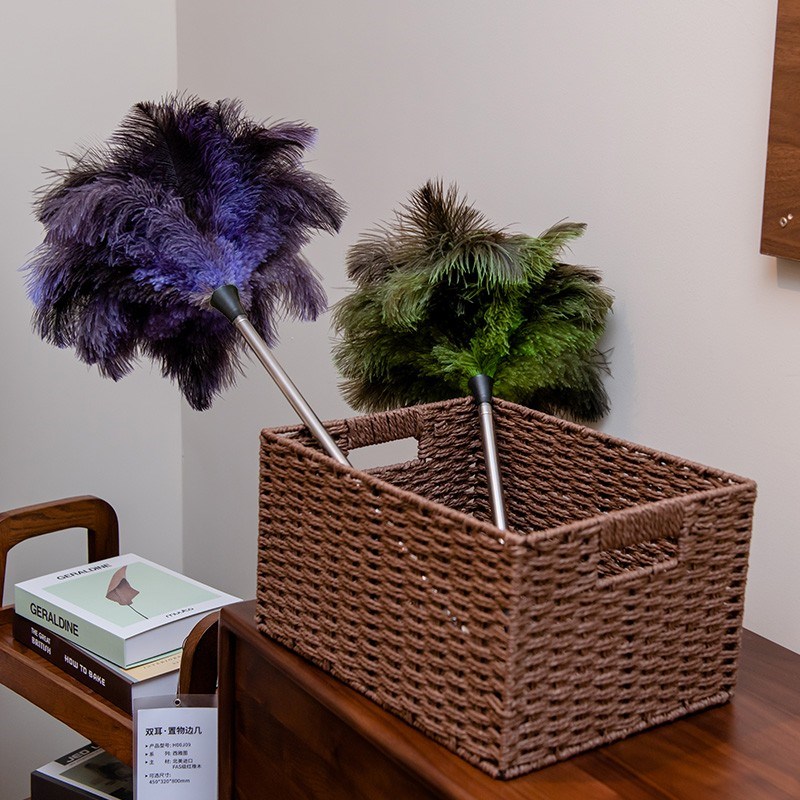 掸尘迎新鸵鸟毛鸡毛掸q子除尘家用可水洗伸缩打扫宋式居家美学摆