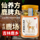 仙养方鹿脾丸双阳鹿场东北特产梅花鹿鹿脾党参茯苓莲子薏苡仁甘草