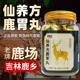 仙养方鹿胃丸梅花鹿鹿胃东北特产正品 保证吉林鹿乡双阳