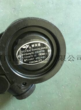 玉柴YC4110/YC4112/YC4E/4G助力泵/玉柴发动机配件G0100转向泵