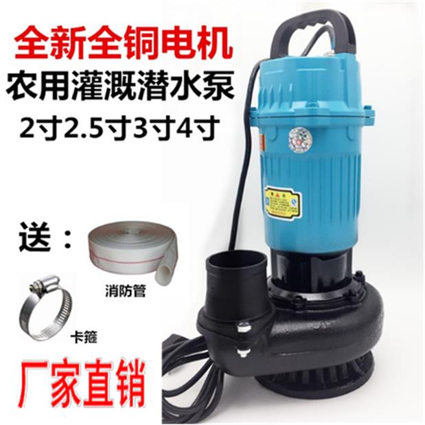 家用2.5寸3寸4寸5大流量潜水泵清水磅220V水棒小型浇地抽水机农用