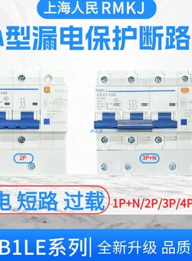 (NC漏电)DZ47LE-125/1P/2P/3P/4P 100A125A漏电断路器带漏电保护