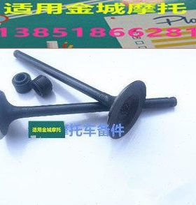适用JC70C/90B气门JC110-19/19V/19A/9/6V金城灿星战星进排气