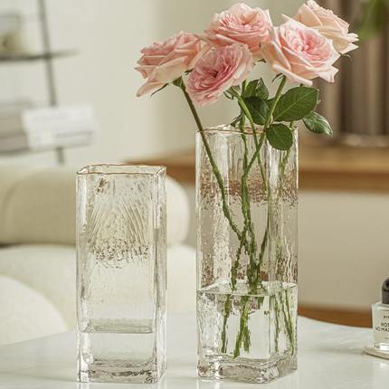 玻璃花瓶摆件客厅插花透明水养轻奢高级感网红玫瑰现代简约高档小