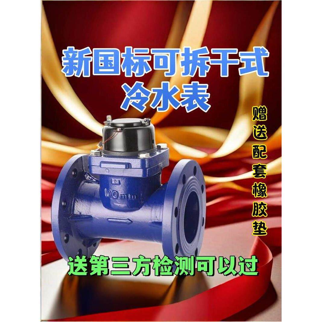 可提供国家标准大直径工业机械卧式可拆卸翼式水表