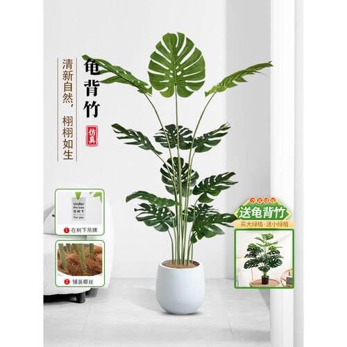 Monstera人造绿色植物客厅大盆栽优雅的可访问的豪华景观美化装饰