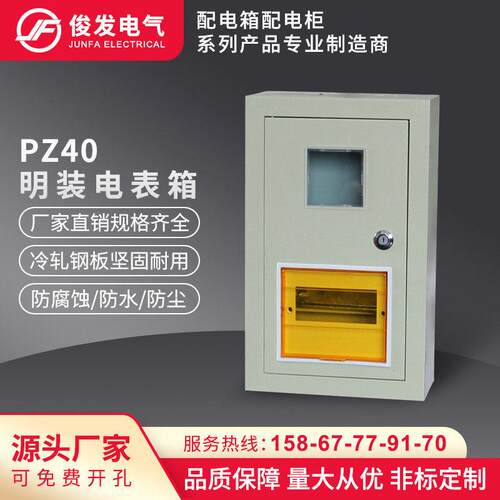 PZ40明装电表箱1/2/3/4/6/8户单相家用配电箱铁质挂墙强电箱直销