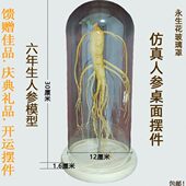 透明店铺馈赠品展示品室内装 饰人参人参玻璃罩工艺品摆件礼品