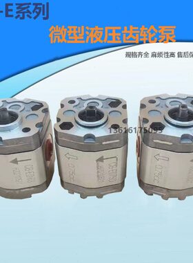 .00EE0//19/0E.E005/B.38C0F/.E1.2E65E7526//32齿轮泵微型.-.1.5