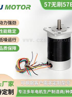 S57BL95-230直流无刷电机24V105W0.33Nm3000转低温升淞杰厂家直销