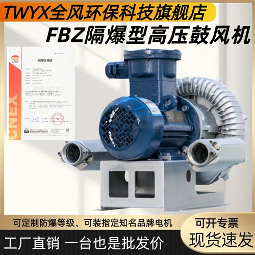 FBZ直联防爆鼓风机隔爆ExdIIBT4 CT4化工粉尘防爆防腐高压风机